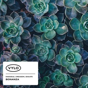 “Bonanza”的封面