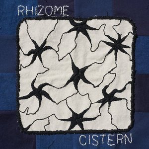 Image for 'Rhizome'