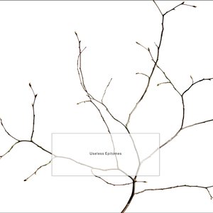 Image for 'Useless Epitomes'