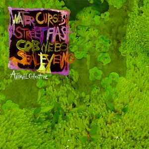 Image pour 'Water Curses'