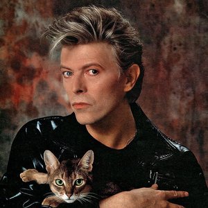 Bild für 'David Bowie'