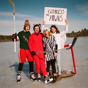 Image pour 'John Andrews & The Yawns'
