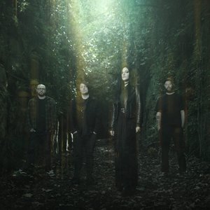 Image for 'Light Field Reverie'