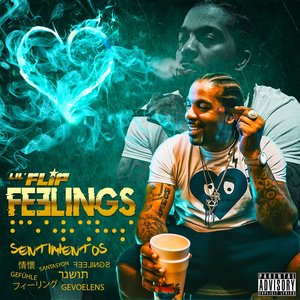 Image for 'Feelings'