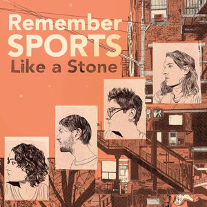 Image for 'Like a Stone'