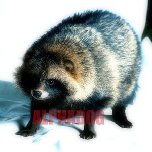 Immagine per 'Alphadog'