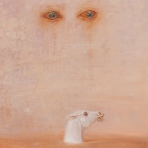 Image for 'No Violet'