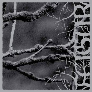 Image for 'II, Desolation'