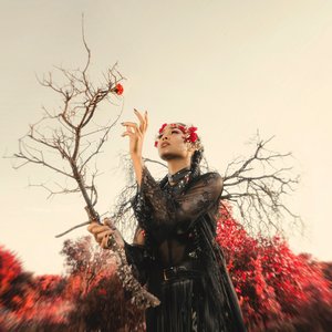 Image for 'Cherry Red Apocalypse'