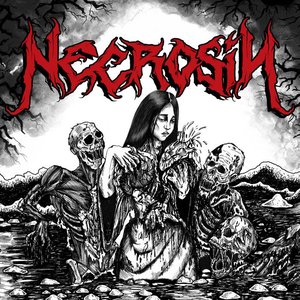 Image for 'Necrosin'