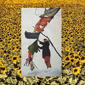 Image for 'The Field'