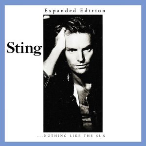 Bild für '...Nothing Like The Sun (Expanded Edition)'