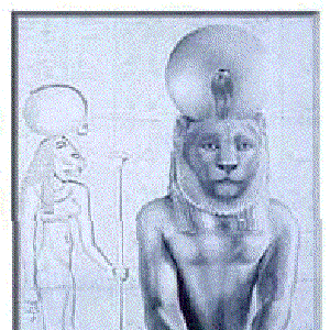Image for 'Secret Places of the Lion'