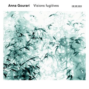 Image for 'Visions fugitives: Prokofiev, Medtner, Chopin'