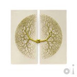 Image for 'O/I'