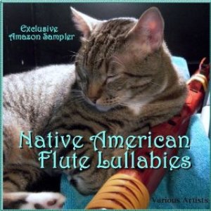 Immagine per 'Native American Flute Lullabies'