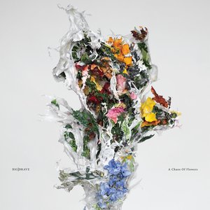 'a chaos of flowers' için resim