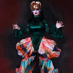 Image pour 'Björk'