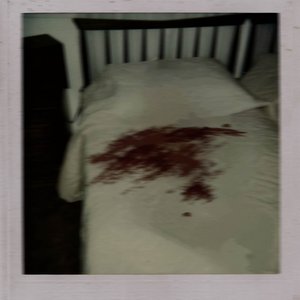 Image for 'Blood on the Sheets'