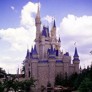 Immagine per 'Walt Disney World Band'