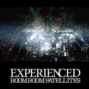 Image for 'EXPERIENCED'