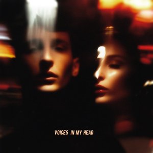 Immagine per 'Voices In My Head'