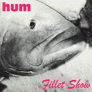 Image for 'Fillet Show'