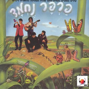 Image pour 'פרפר נחמד'