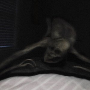 'homesick'の画像