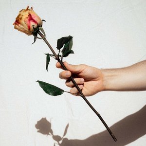 Изображение для 'Love'