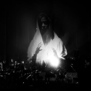 Изображение для 'Ulver With Tromsø Chamber Orchestra'