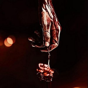 Image for 'bruises'