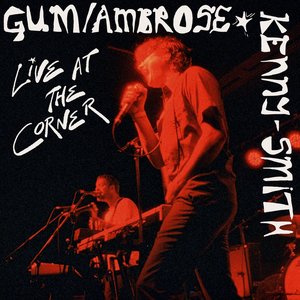 Immagine per 'Live at The Corner'