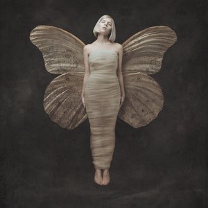 Image pour 'All My Demons Greeting Me As A Friend (Deluxe)'