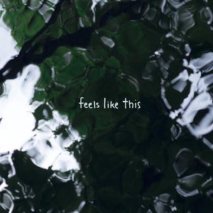 Image for 'Feels Like This'