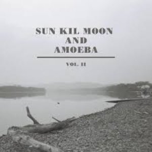 Image for 'Sun Kil Moon and Amoeba, Vol. II'