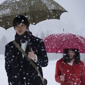 Immagine per 'snow'