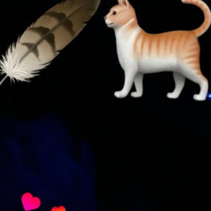 Bild für 'Feathered Cat'