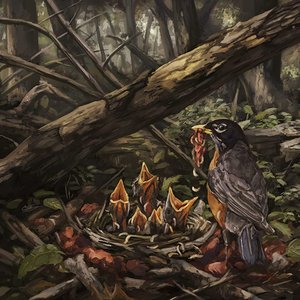 Image for 'Step Into The Light'