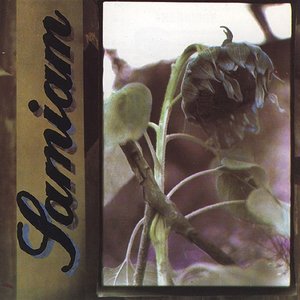 “Samiam”的封面