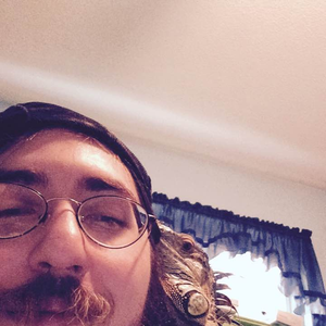 TheMeegs
