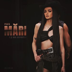 Image for 'Peste mari (si mai departe)'