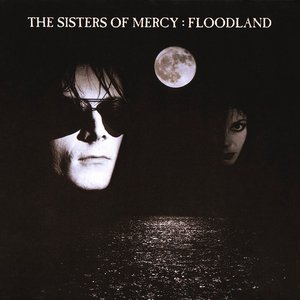 Image for 'Floodland (2006 Remaster; Expanded Deluxe Version)'