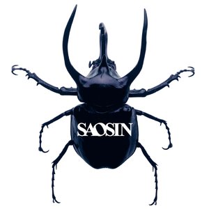 Image for 'Saosin'
