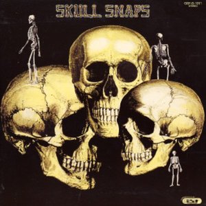 Bild für 'Skull Snaps (Digitally Remastered)'