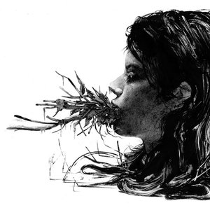 Изображение для 'Entanglements'
