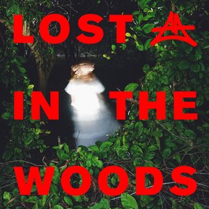 Image for 'Lost In The Woods'
