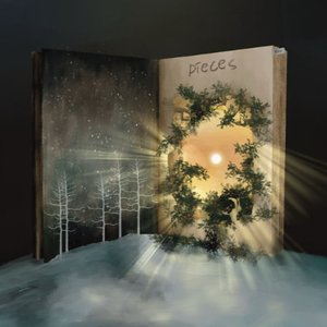 Image for 'pieces'