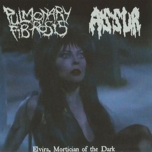 Image for 'Elvira, Mortician Of The Dark'