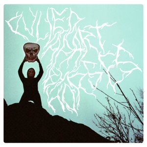 Image for 'Pulled Apart By Horses'